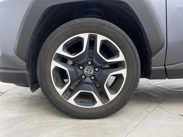 �w�E���R�|���b�V���x�͐�p�̗n�܂Ō��������A�C�ɂȂ�K���X�E���R���������܂��B��łȃE���R�ɂ����ʂ���B���Ԃ̎��E�Ɣ��ς��L�[�v����ׂɂ����߂��������i�ł��B