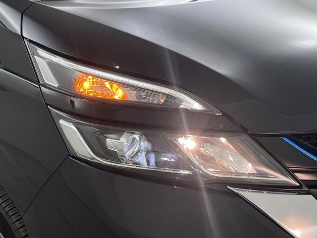 ���w�b�h���C�g�E�z�C�[���E�t�����g�K���X�ȂǐF�X�ȕ����̃R�[�e�B���O�����p�ӂ��Ă���܂��I