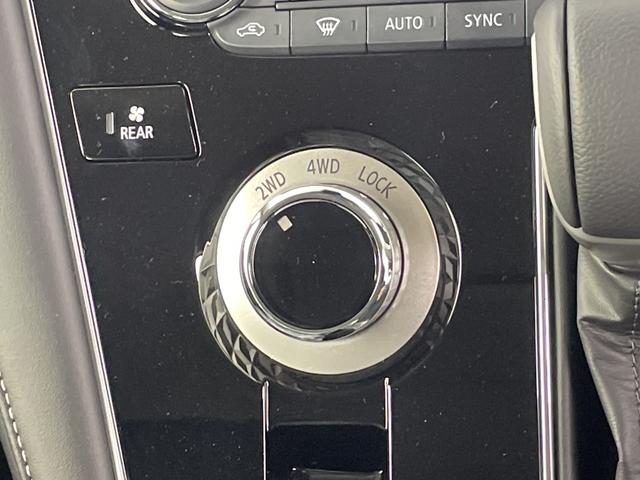 デリカＤ：５ シャモニー　登録済未使用車　社外１１インチナビ　全方位カメラ　ブラインドスポットモニター　アダプティブクルーズコントロール　衝突軽減ブレーキ　シートヒーター　ステアリングヒーター　パワーバックドア　パドルシフト（19枚目）