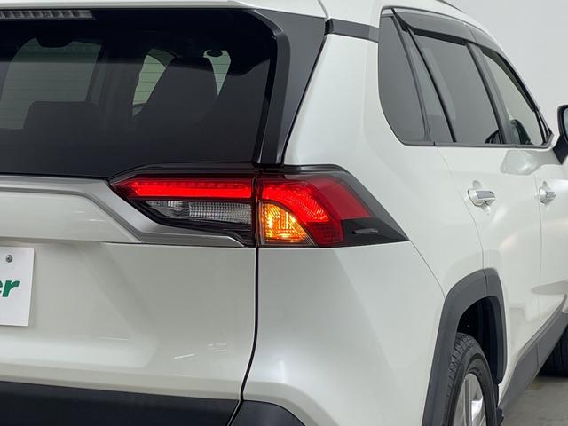 ���w�b�h���C�g�E�z�C�[���E�t�����g�K���X�ȂǐF�X�ȕ����̃R�[�e�B���O�����p�ӂ��Ă���܂��I