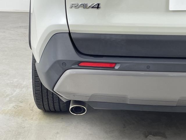 �������������������C�ɓ���̂P�����������Ƃ�����߂Ăق����Ȃ��I�����ł������[�ԏ���܂��B