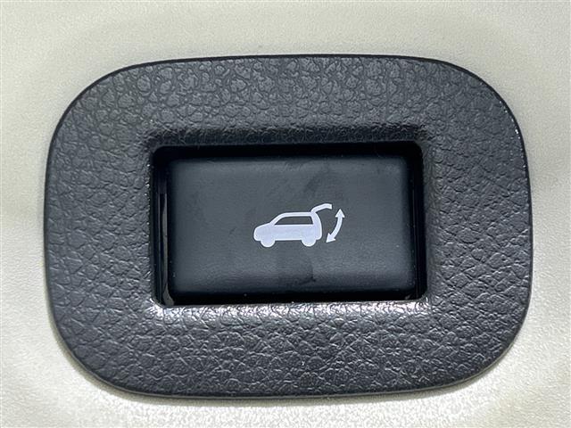 エクストレイル 20Xi 純正ナビ アラウンドビューM ProPILOT レーダークルーズ AEB BSM LDW RCTA Dルームミラー PBD アイドリングS ルーフレール 前後ソナー カブロンシート LED ETC(28枚目)