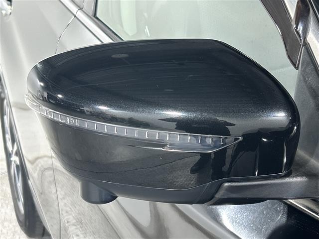 エクストレイル 20Xi 純正ナビ アラウンドビューM ProPILOT レーダークルーズ AEB BSM LDW RCTA Dルームミラー PBD アイドリングS ルーフレール 前後ソナー カブロンシート LED ETC(37枚目)