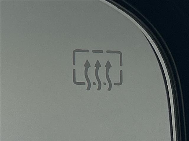 エクストレイル 20Xi 純正ナビ アラウンドビューM ProPILOT レーダークルーズ AEB BSM LDW RCTA Dルームミラー PBD アイドリングS ルーフレール 前後ソナー カブロンシート LED ETC(38枚目)