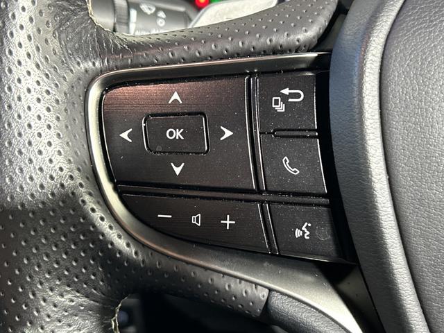 ES ES300h Fスポーツ 純正ナビ バックカメラ ムーンルーフ セーフティシステムプラス BSM PKSB HUD Dミラー パワートランク 3眼LEDヘッドランプ 合皮シート 前パワーシート/シートヒーター/ベンチレーション(15枚目)