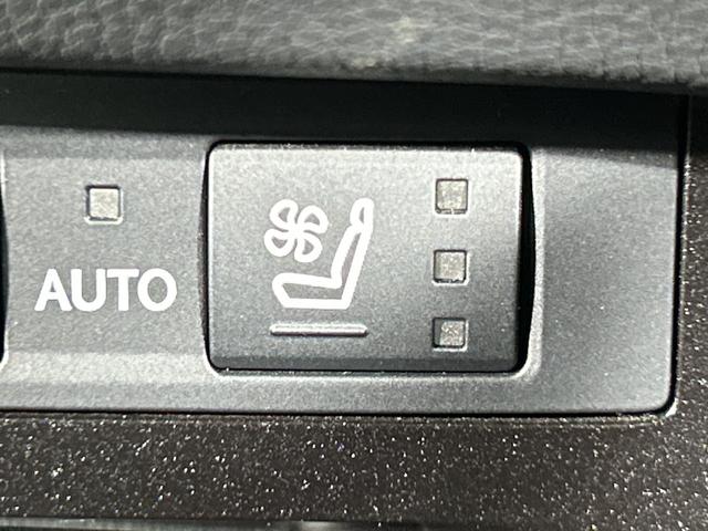 ES ES300h Fスポーツ 純正ナビ バックカメラ ムーンルーフ セーフティシステムプラス BSM PKSB HUD Dミラー パワートランク 3眼LEDヘッドランプ 合皮シート 前パワーシート/シートヒーター/ベンチレーション(31枚目)