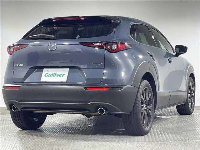 ＣＸ－３０ ２０Ｓ　ブラックトーンエディション　マツダ８．８型コネクト　３６０度ビューカメラ　　ｉ－ＡＣＴＩＶＳＥＮＳＥ　　ＣＤ／ＤＶＤ／フルセグ　ＰＢＤ　ＨＵＤ　ＡＬＨ　前後ドラレコ　前後ソナー　アイドリングＳ　スマートキー　プッシュＳ　ＥＥＴＣ（36枚目）