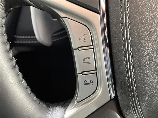 デリカＤ：５ シャモニー　アルパイン１１型ナビ　マルチアラウンドモニター　フルセグ　ｅ－Ａｓｓｉｓｔ　ＢＳＭ　両側電動　パワーバックドア　ハーフレザーシート　前席シートヒーター　ステアリングヒーター　ＬＥＤヘッドランプ（24枚目）