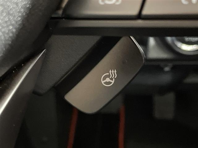 フォレスター Ｘ－ブレイク　アイサイト　純正８型ナビ　バックカメラ　シートヒーター　ＥＴＣ　スマートキー　デジタルインナーミラー　アイドリングストップ機能　ＳＲ　パドルシフト　ステアリングヒーター　ルーフレール　ＬＥＤ　フォグ（15枚目）