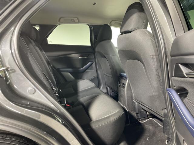 ＣＸ－３０ ＸＤ　プロアクティブ　ツーリングセレクション　ｉ－ＡＣＴＩＶＳＥＮＳＥ　純正ナビ　３６０°カメラ　電動サイドブレーキ　オートブレーキホールド　スペアキー　パワーバックドア　アイドリングストップ機能　コーナーセンサー　ＨＵＤ　ＬＥＤ　ＥＴＣ　フォグ（53枚目）