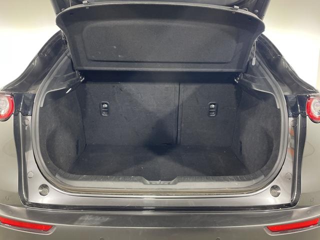 ＣＸ－３０ ＸＤ　プロアクティブ　ツーリングセレクション　ｉ－ＡＣＴＩＶＳＥＮＳＥ　純正ナビ　３６０°カメラ　電動サイドブレーキ　オートブレーキホールド　スペアキー　パワーバックドア　アイドリングストップ機能　コーナーセンサー　ＨＵＤ　ＬＥＤ　ＥＴＣ　フォグ（56枚目）