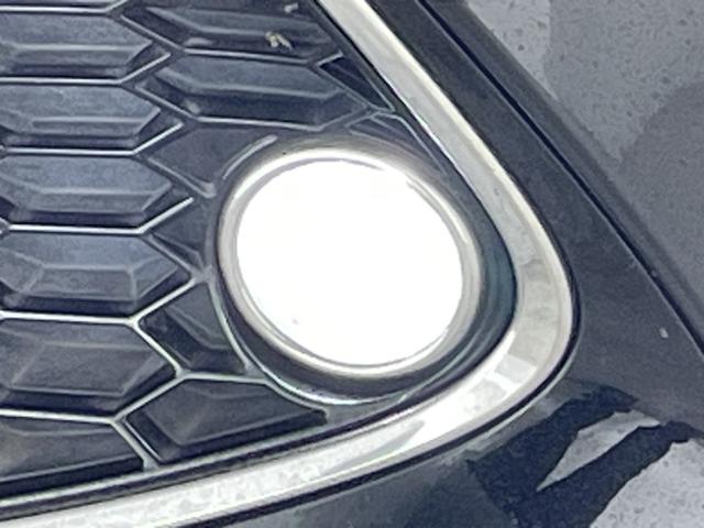 �����ŉJ�̓������E���N���A�ɂ��Ă����w�t�����g�E�C���h�E�����R�[�g�x�B�������ʂ��L�[�v���N���A�Ȏ��E�ň��S���T�|�[�g���Ă���܂��B