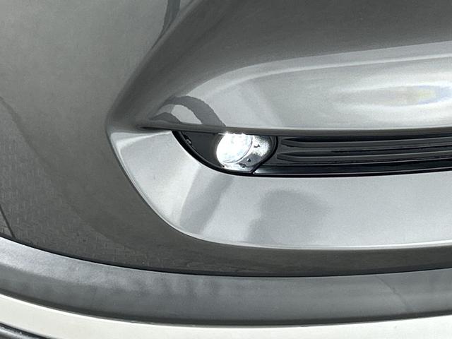 ������������ƍ����������\�������I�u���A���K���X�R�[�g�v����舵���Ă���܂��I