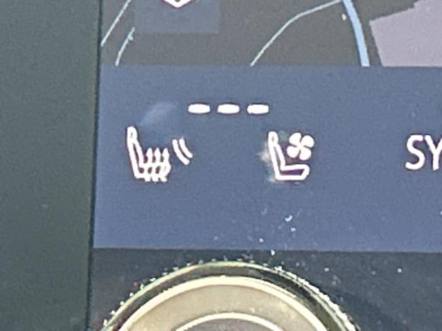 ���S�̑S�ԕۏؕt���I�i�������ۏ؁A���Y�Ԃ͔[�Ԍ�R�����A�A���Ԃ͔[�Ԍ�P�����̕ۏ؊��ԂƂȂ�܂��j�B���̑������ۏ؁i�L���j�����p�ӂ��Ă���܂��I�������ۏ؂�t�тł���ԗ��ɂ͏������������܂��B