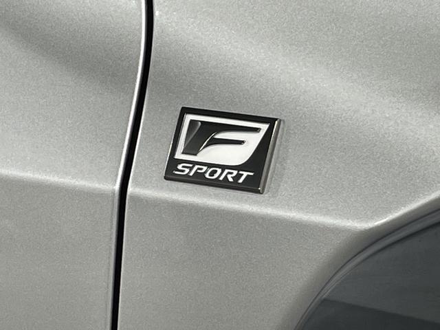 ＵＸ ＵＸ２５０ｈ　Ｆスポーツ　純正ナビ　Ｂカメラ　セーフティプラス　ＰＢＤ　ＰＫＳＢ　ＰＫＳＡ　ＰＣＳ　ＬＴＡ　ＬＤＡ　ＤＲＣＣ　ＡＨＳ　ＲＳＡ　ＴＰＷＳ　合皮シート　前パワーシート＆シートヒーター　ステアリングＨ　パドルシフト（78枚目）