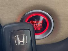 �ե꡼�� �ǡ��ۥ�����󥷥󥰡�������������ʥӡ��£����������衡�ԣ� 3000586A20251002J007 6