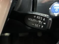 �ץꥦ�� �ӥġ���󥰥��쥯����󡡽�����������ʥӡ���ǥꥹ�����������ȥ西�����եƥ����󥹡����ͷڸ��֥졼���졼�������롼������ȥ����� 3000586A20251222J002 5