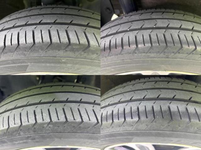 �u���̎Ԃ̎ʐ^�������ƌ������v�u��Ԃ��C�ɂȂ�v�u���̑����͂��Ă���H�v�ǂ�ȏ����ȋ^��ł����C�y�ɂ��₢���킹���������I