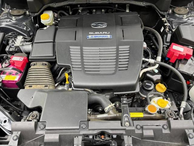 �S���ɓX�܂�W�J���Ă���̂łǂ��ł������񂹂��\�ł��I���̎Ԃ��C�ɂȂ邯�ǉ���������E�E�E�ƒ��߂�K�v�͂���܂���I���ʓr������K�v�ł��B