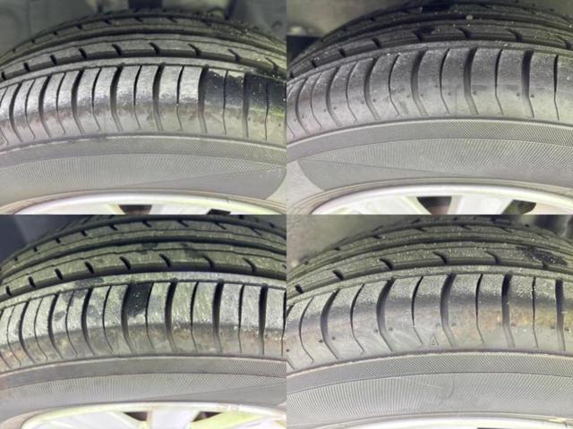 �u���̎Ԃ̎ʐ^�������ƌ������v�u��Ԃ��C�ɂȂ�v�u���̑����͂��Ă���H�v�ǂ�ȏ����ȋ^��ł����C�y�ɂ��₢���킹���������I