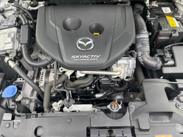 �S���ɓX�܂�W�J���Ă���̂łǂ��ł������񂹂��\�ł��I���̎Ԃ��C�ɂȂ邯�ǉ���������E�E�E�ƒ��߂�K�v�͂���܂���I���ʓr������K�v�ł��B