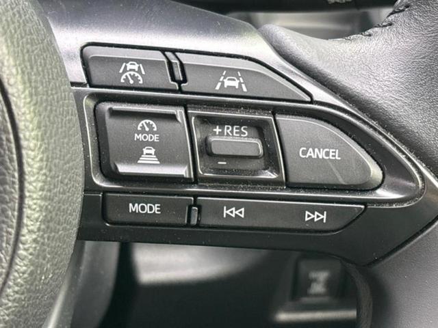 シエンタ ４ＷＤハイブリッドＺ　新品タイヤ／モデリスタエアロ／保証書／ディスプレイオーディオ＋ナビ１０インチ／衝突安全装置／両側電動スライドドア／車線逸脱防止支援システム／ヘッドランプ　ＬＥＤ／ＵＳＢジャック　衝突被害軽減システム（31枚目）