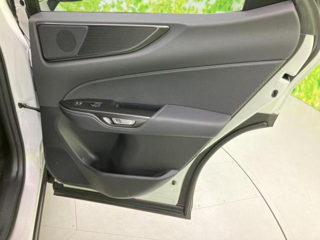 �u���̎Ԃ̎ʐ^�������ƌ������v�u��Ԃ��C�ɂȂ�v�u���̑����͂��Ă���H�v�ǂ�ȏ����ȋ^��ł����C�y�ɂ��₢���킹���������I