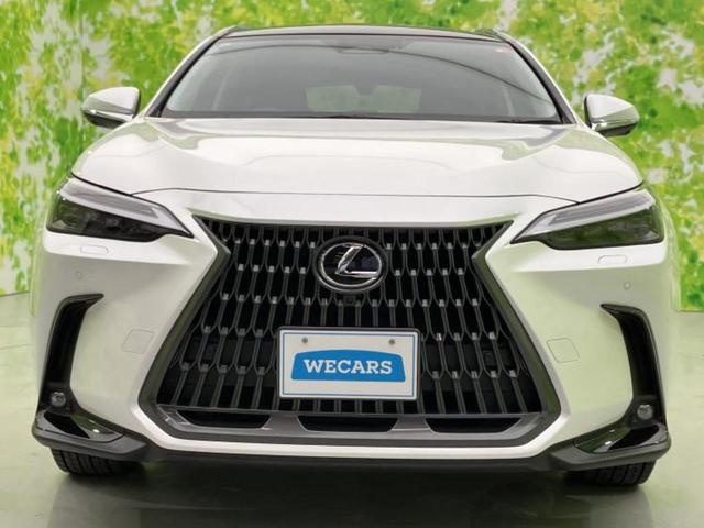 ������̂��Ԃ͂������ł��傤���H�����ł��C�ɂȂ��Ă��������܂����琥�񂨖₢���킹���������I����ɂ��Ԃ̏ڍׂ������肢�����܂��I