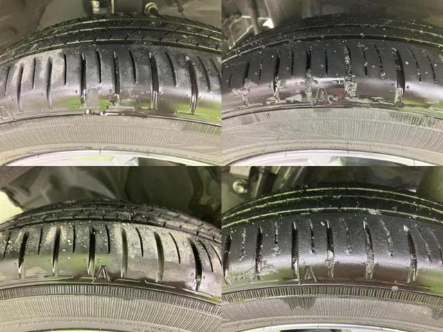 �u���̎Ԃ̎ʐ^�������ƌ������v�u��Ԃ��C�ɂȂ�v�u���̑����͂��Ă���H�v�ǂ�ȏ����ȋ^��ł����C�y�ɂ��₢���킹���������I