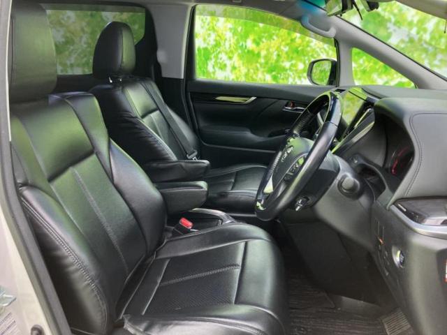 �u���̎Ԃ̎ʐ^�������ƌ������v�u��Ԃ��C�ɂȂ�v�u���̑����͂��Ă���H�v�ǂ�ȏ����ȋ^��ł����C�y�ɂ��₢���킹���������I