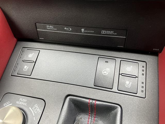 RC RC300h Fスポーツ 赤革シート/新品アルミホイール&新品タイヤSET/純正SDナビ/地デジ/Bluetooth/レーダークルーズ/PCS/BSM/Pシート/ビルトインETC/純正LEDヘッドライト/Bモニター/Cセンサー(33枚目)