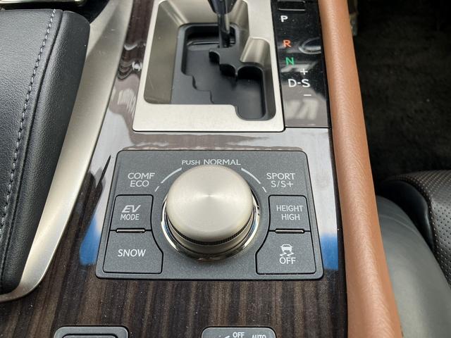 ＬＳ ＬＳ６００ｈ　バージョンＣ　Ｉパッケージ　１年保証／黒革／純正ＬＥＤヘッドライト／ＢＳＭ／ステアヒーター／レーダークルーズ／純正ＨＤＤナビ／ＣＤ／ＤＶＤ再生／地デジ／Ｂｌｕｅｔｏｏｔｈ／ビルトインＥＴＣ／バックカメラ／Ｐスタート／Ｃセンサー（34枚目）