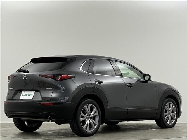 CX-30 20S プロアクティブ 純正8インチナビ フルセグ CD/DVD BT アラウンドビューモニター フルセグ 前後ドライブレコーダー ETC パワーバックドア LEDヘッドライト クリアランスソナー オートハイビーム(19枚目)
