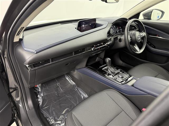 CX-30 20S プロアクティブ 純正8インチナビ フルセグ CD/DVD BT アラウンドビューモニター フルセグ 前後ドライブレコーダー ETC パワーバックドア LEDヘッドライト クリアランスソナー オートハイビーム(23枚目)