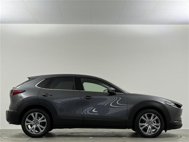CX-30 20S プロアクティブ 純正8インチナビ フルセグ CD/DVD BT アラウンドビューモニター フルセグ 前後ドライブレコーダー ETC パワーバックドア LEDヘッドライト クリアランスソナー オートハイビーム(43枚目)