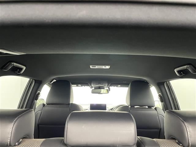 NX NX300h Fスポーツ 禁煙 360° 電動格納 冷シート BSM HUD ETC シートヒーター ドライブレコーダー オートハイビーム コーナーセンサー レーダークルーズコントロール レザーシート 純正ナビ BT DVD(32枚目)