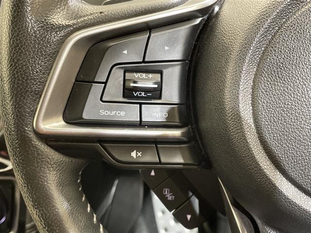 フォレスター アドバンス 純正ナビ/フルセグ/Bluetooth/USB/バックカメラ/衝突被害軽減ブレーキ/レーダークルーズコントロール/ETC/前方ドライブレコーダー/パワーバックドア/全席シートヒーター(26枚目)