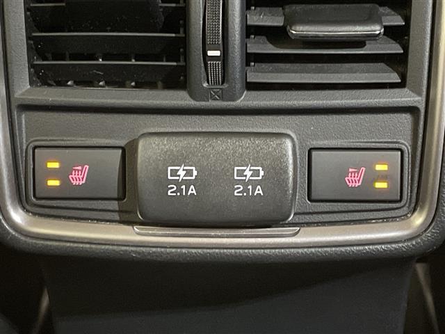 フォレスター アドバンス 純正ナビ/フルセグ/Bluetooth/USB/バックカメラ/衝突被害軽減ブレーキ/レーダークルーズコントロール/ETC/前方ドライブレコーダー/パワーバックドア/全席シートヒーター(29枚目)