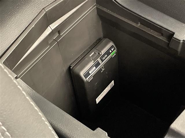 フォレスター アドバンス 純正ナビ/フルセグ/Bluetooth/USB/バックカメラ/衝突被害軽減ブレーキ/レーダークルーズコントロール/ETC/前方ドライブレコーダー/パワーバックドア/全席シートヒーター(30枚目)