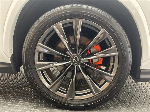 NX NX350h Fスポーツ パノラマルーフ ルーフレール マークレビンソン オレンジキャリパー プロジェクションカーテンイルミ デジタルインナーミラー フロントバンパーガーニッシュ TRDリアエアロ 純正14型ナビ ETC 禁煙(17枚目)