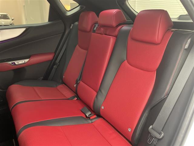 NX NX350h Fスポーツ パノラマルーフ ルーフレール マークレビンソン オレンジキャリパー プロジェクションカーテンイルミ デジタルインナーミラー フロントバンパーガーニッシュ TRDリアエアロ 純正14型ナビ ETC 禁煙(32枚目)