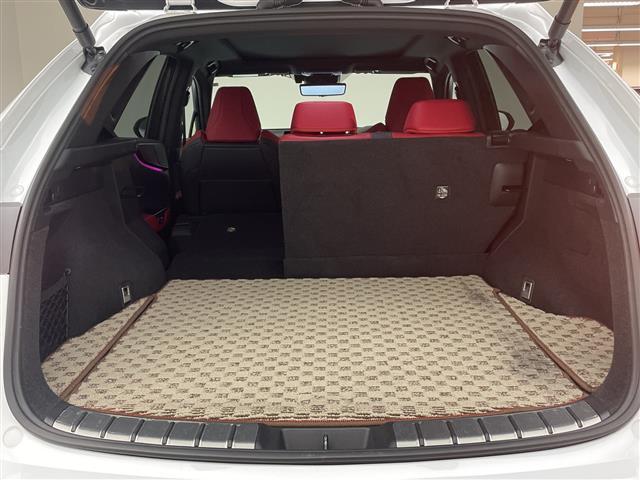 NX NX350h Fスポーツ パノラマルーフ ルーフレール マークレビンソン オレンジキャリパー プロジェクションカーテンイルミ デジタルインナーミラー フロントバンパーガーニッシュ TRDリアエアロ 純正14型ナビ ETC 禁煙(33枚目)