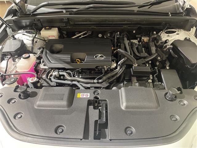 NX NX350h Fスポーツ パノラマルーフ ルーフレール マークレビンソン オレンジキャリパー プロジェクションカーテンイルミ デジタルインナーミラー フロントバンパーガーニッシュ TRDリアエアロ 純正14型ナビ ETC 禁煙(35枚目)