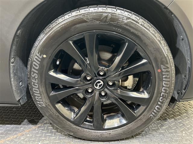 ＣＸ－３０ ＸＤ　ブラックトーンエディション　純正８．８型ナビ／フルセグＴＶ／ＤＶＤ再生可／Ｂｌｕｅｔｏｏｔｈ／全周囲カメラ／シートヒーター／ステアリングヒーター／ブラインドスポットモニター／ＥＴＣ／衝突被害軽減ブレーキ／電動リアゲート／禁煙（17枚目）