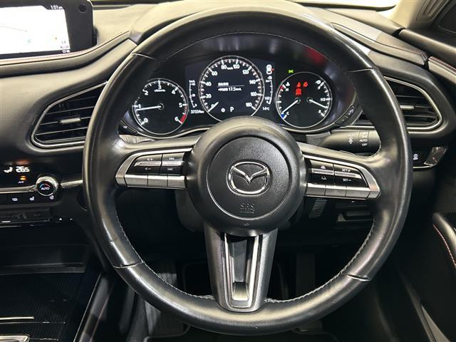 ＣＸ－３０ ＸＤ　ブラックトーンエディション　純正８．８型ナビ／フルセグＴＶ／ＤＶＤ再生可／Ｂｌｕｅｔｏｏｔｈ／全周囲カメラ／シートヒーター／ステアリングヒーター／ブラインドスポットモニター／ＥＴＣ／衝突被害軽減ブレーキ／電動リアゲート／禁煙（22枚目）