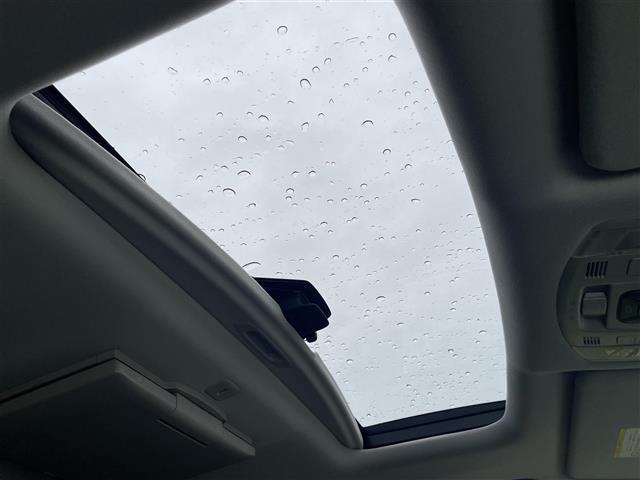 ヴェルファイア 3.5Z ゴールデンアイズII(18枚目)