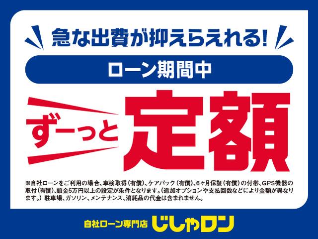 プリウス Sツーリングセレクション 社外ナビ Bカメラ 前席ヒータ ETC 社外AW(44枚目)