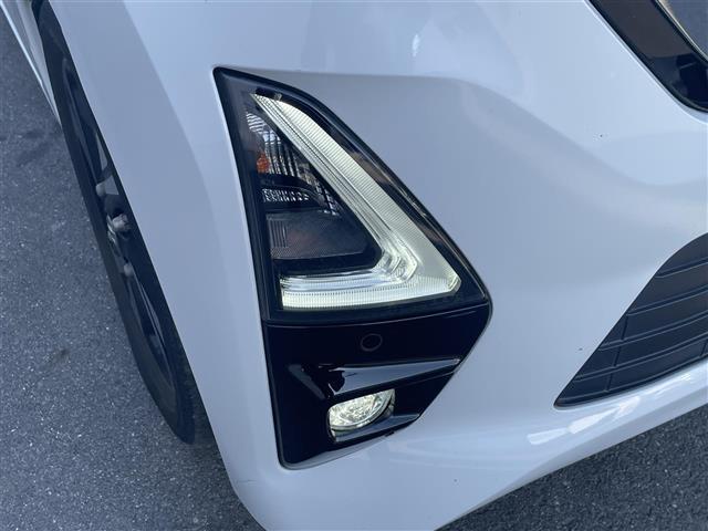 �y�k�d�c�w�b�h���C�g�z���邭�Ė�Ԃ̎��F�����オ��܂��I