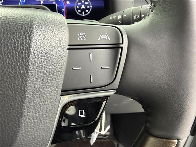 アルファードＰＨＥＶ エグゼクティブラウンジ　ムーンルーフ　ユニバーサルステップ　フリップダウンモニター　デジタルインナーミラー　純正１９インチアルミホイール　ドライブレコーダー　ＥＴＣ　ワイヤレス充電　トヨタチームメイト　アドバンスドパーク（7枚目）