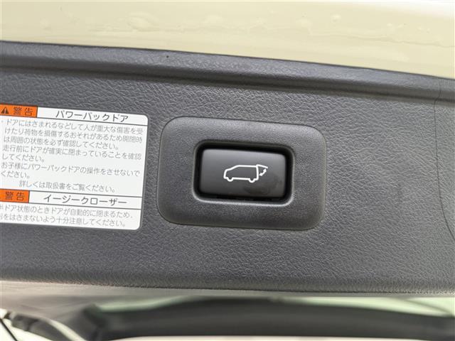アルファードハイブリッド S タイプゴールドII ワンオナ 4WD 追従クルコン レーンアシスト BSM オートマチックハイビーム デジタルミラー 三眼LED LEDフォグ 両側パワスラ Pバックドア スマートキー 純正フロアマット(18枚目)